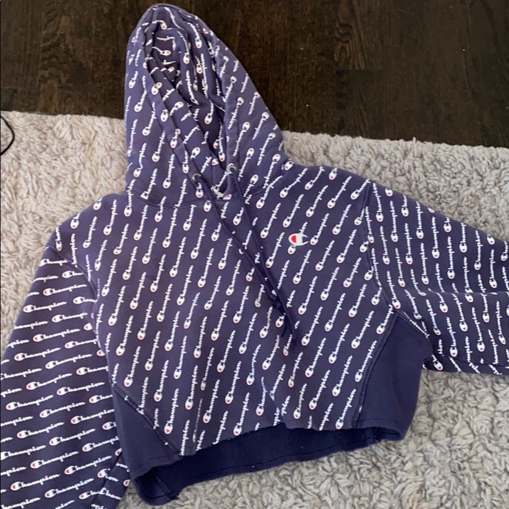 Champion Cropped Hoodie